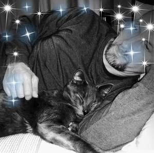 Meet your Posher, Steven